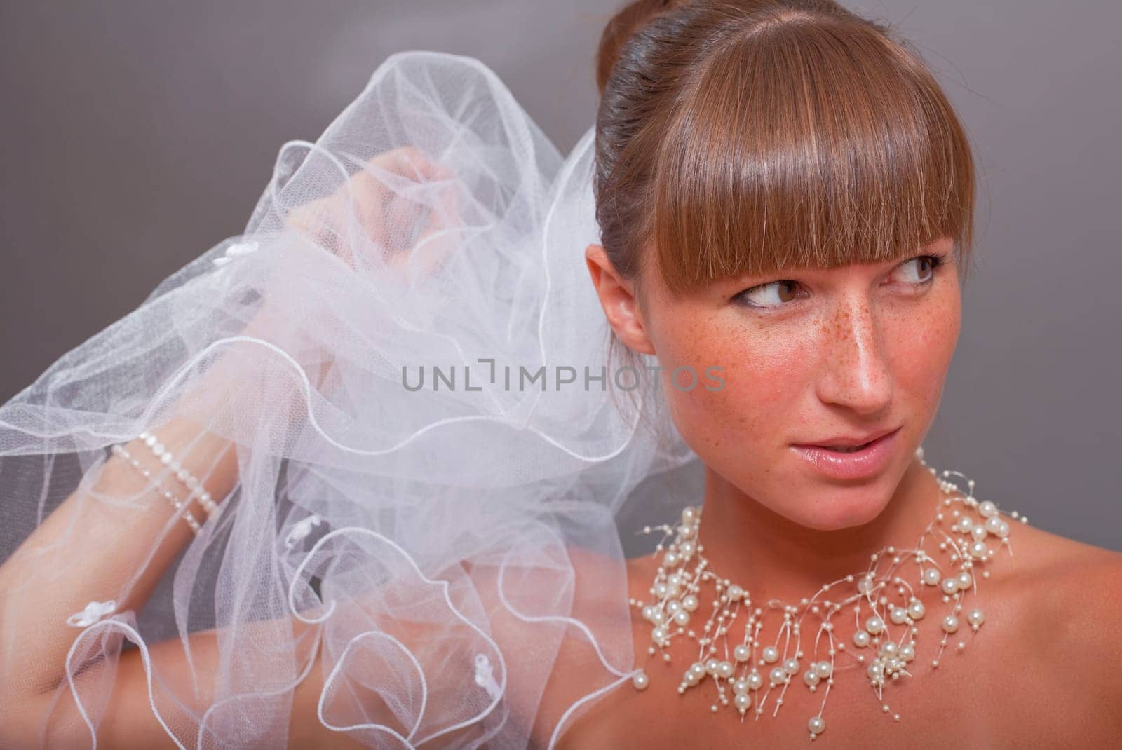 beautiful bride with veil
