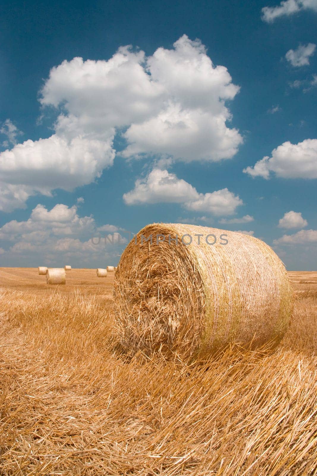 Agriculture - Haystack