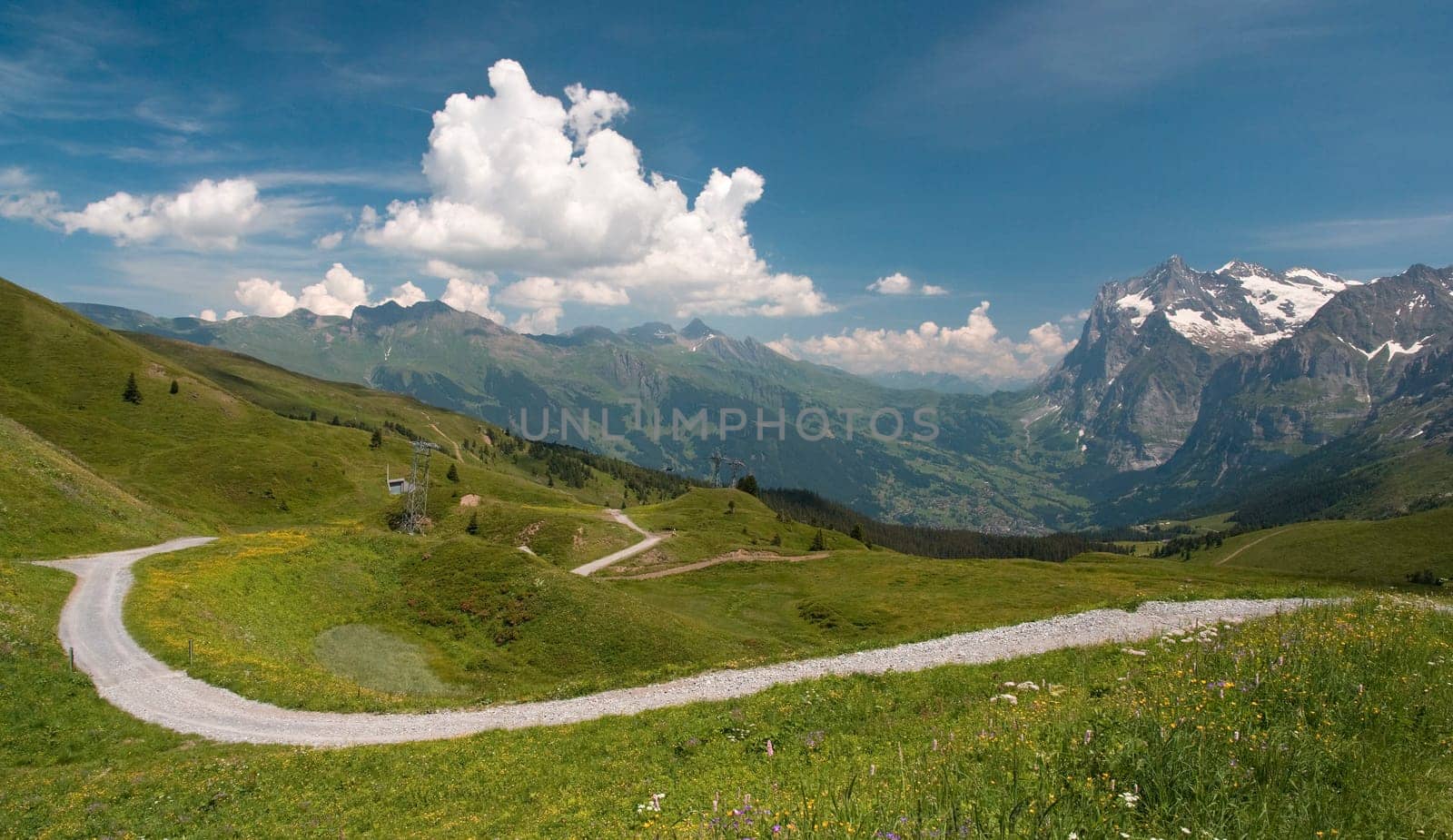 Swiss Alps