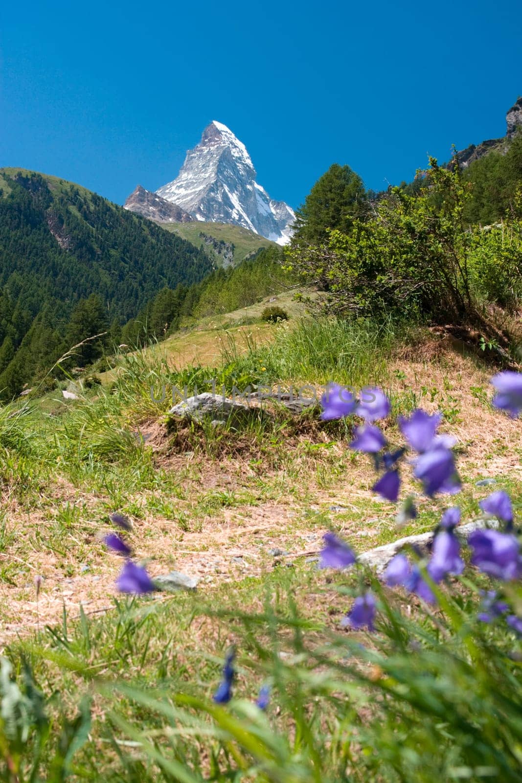 Matterhorn - Swiss Alps