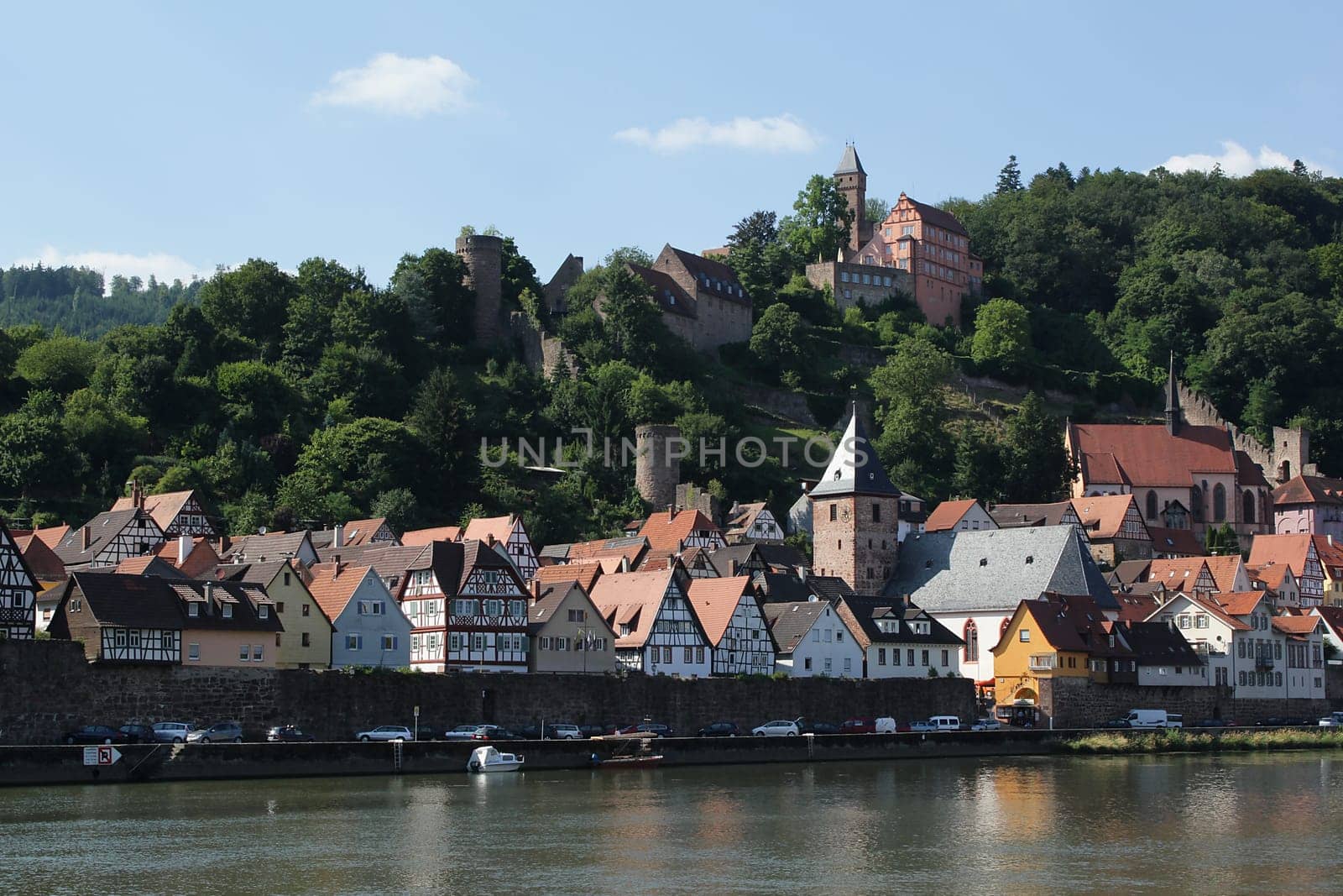 Hirschhorn,pearl of the Neckar