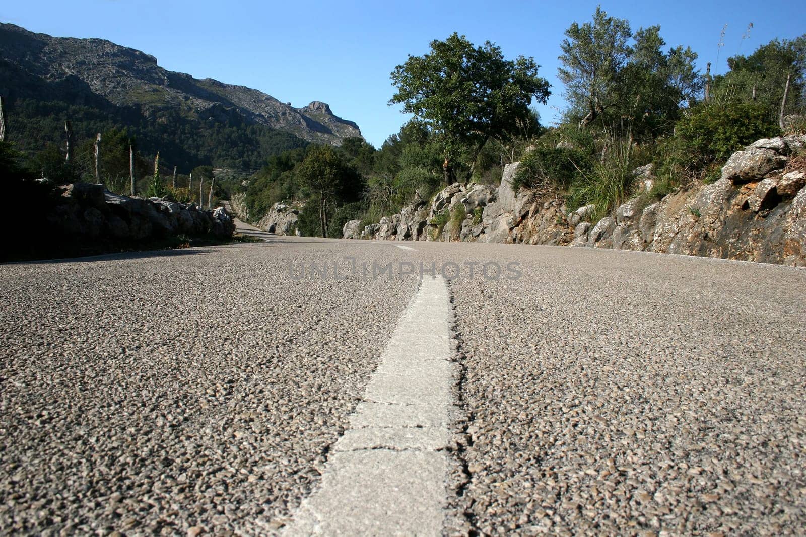 Country road in Mallorca