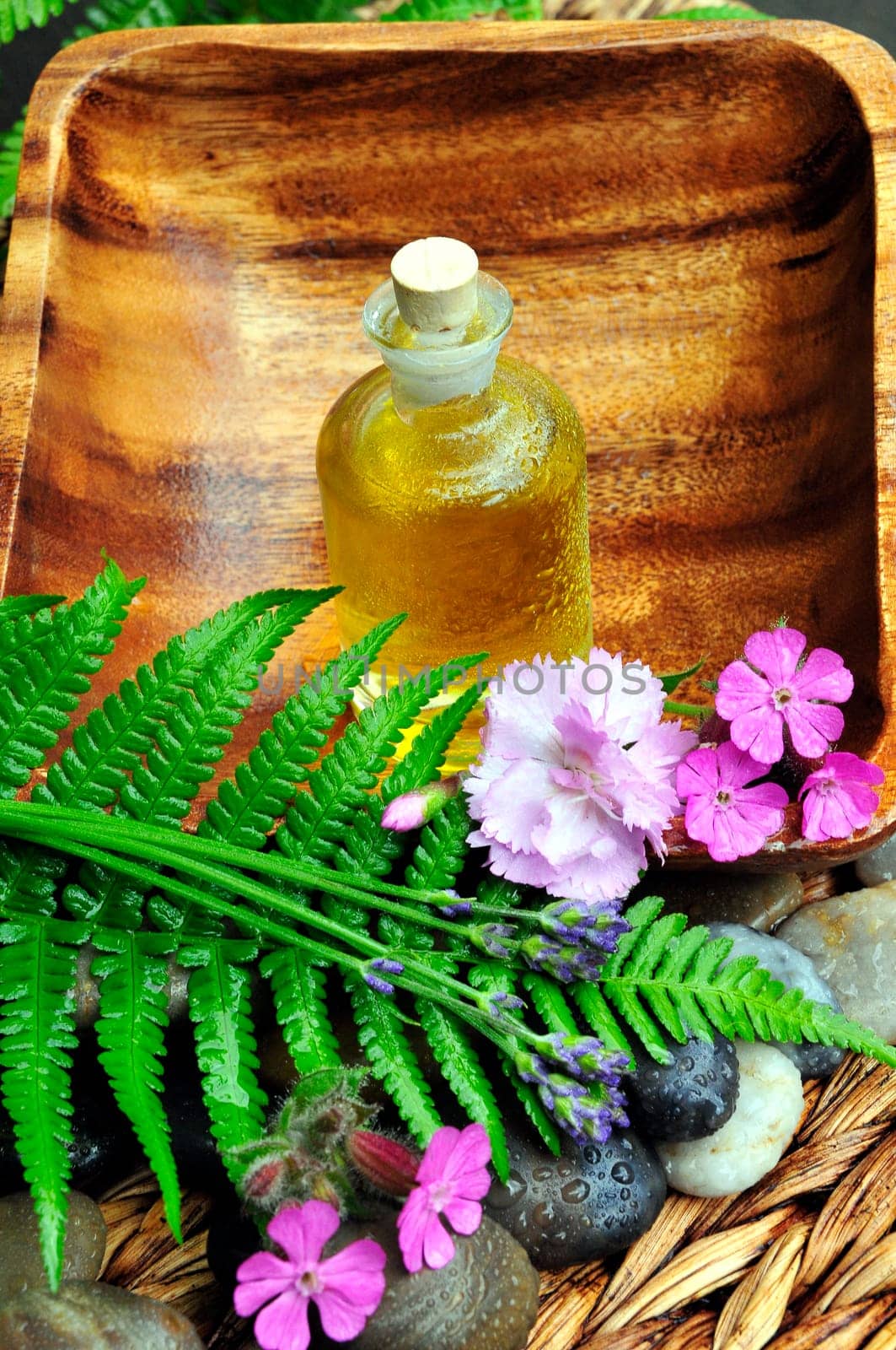 Flowers,Leaf,Stones,Lavender