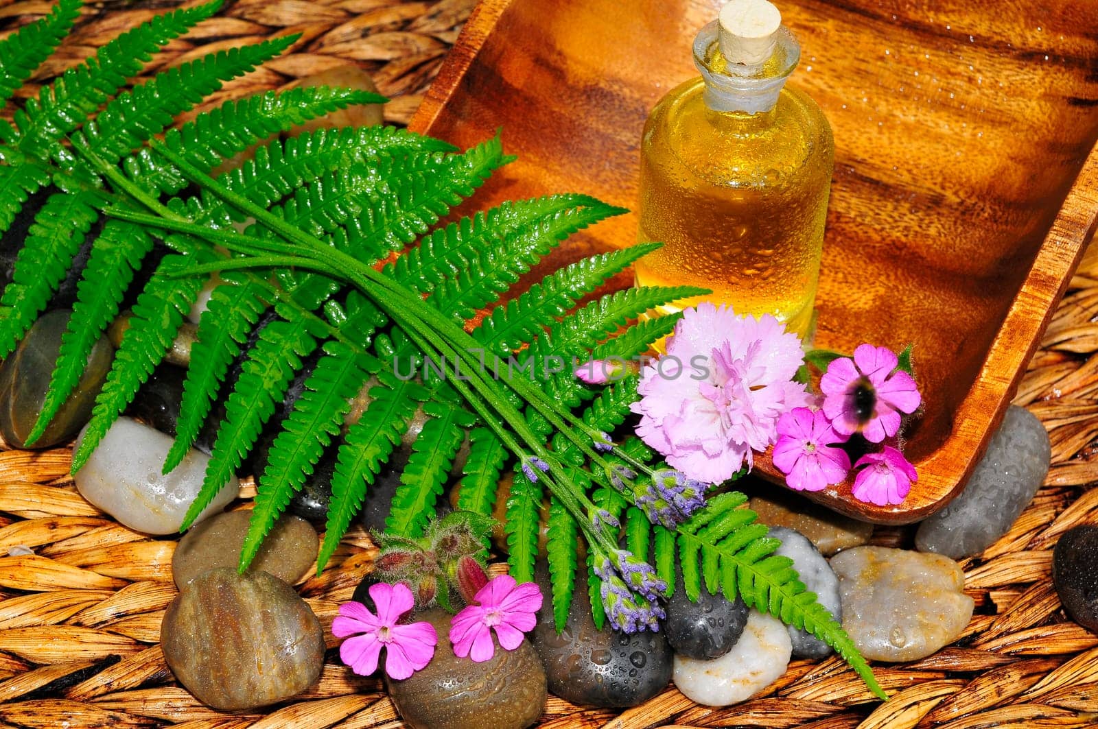 Flowers,Leaf,Stones,Lavender