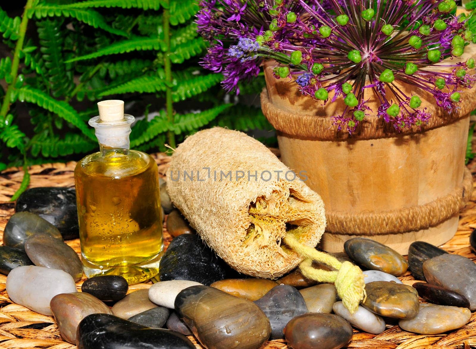 Wellness Stones Lavender