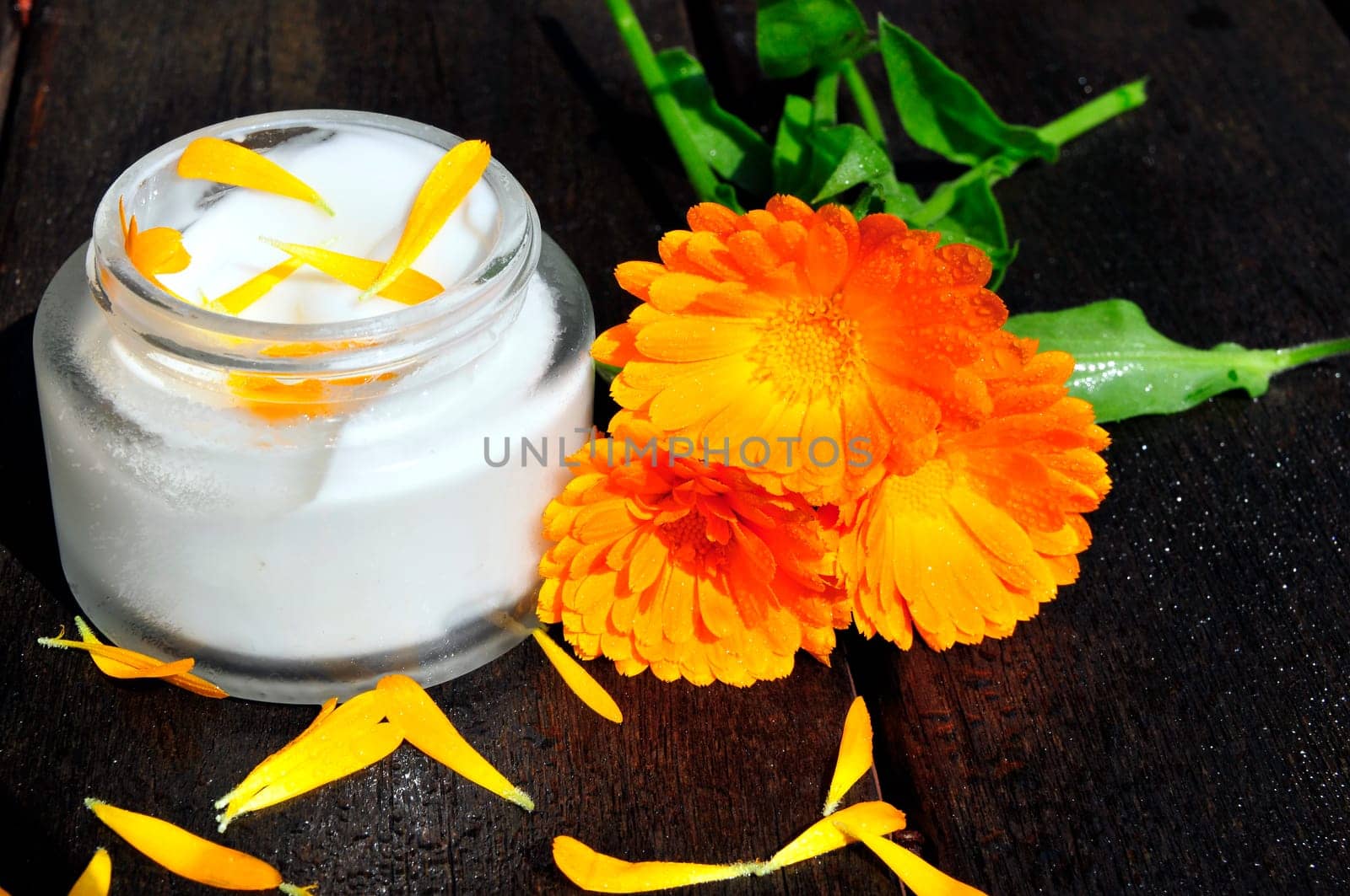 Naturopathy Plants Marigolds