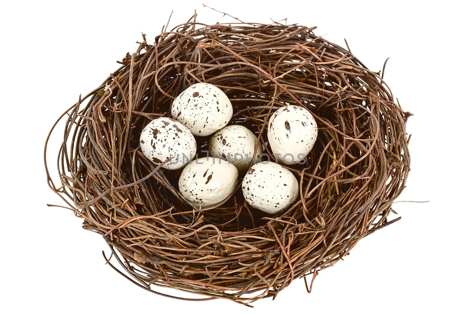 Nest isolated.