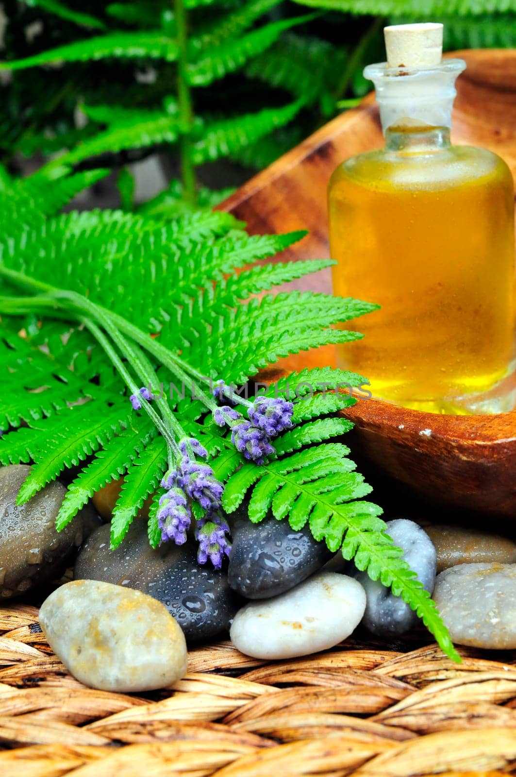 Leaf Oil Lavender