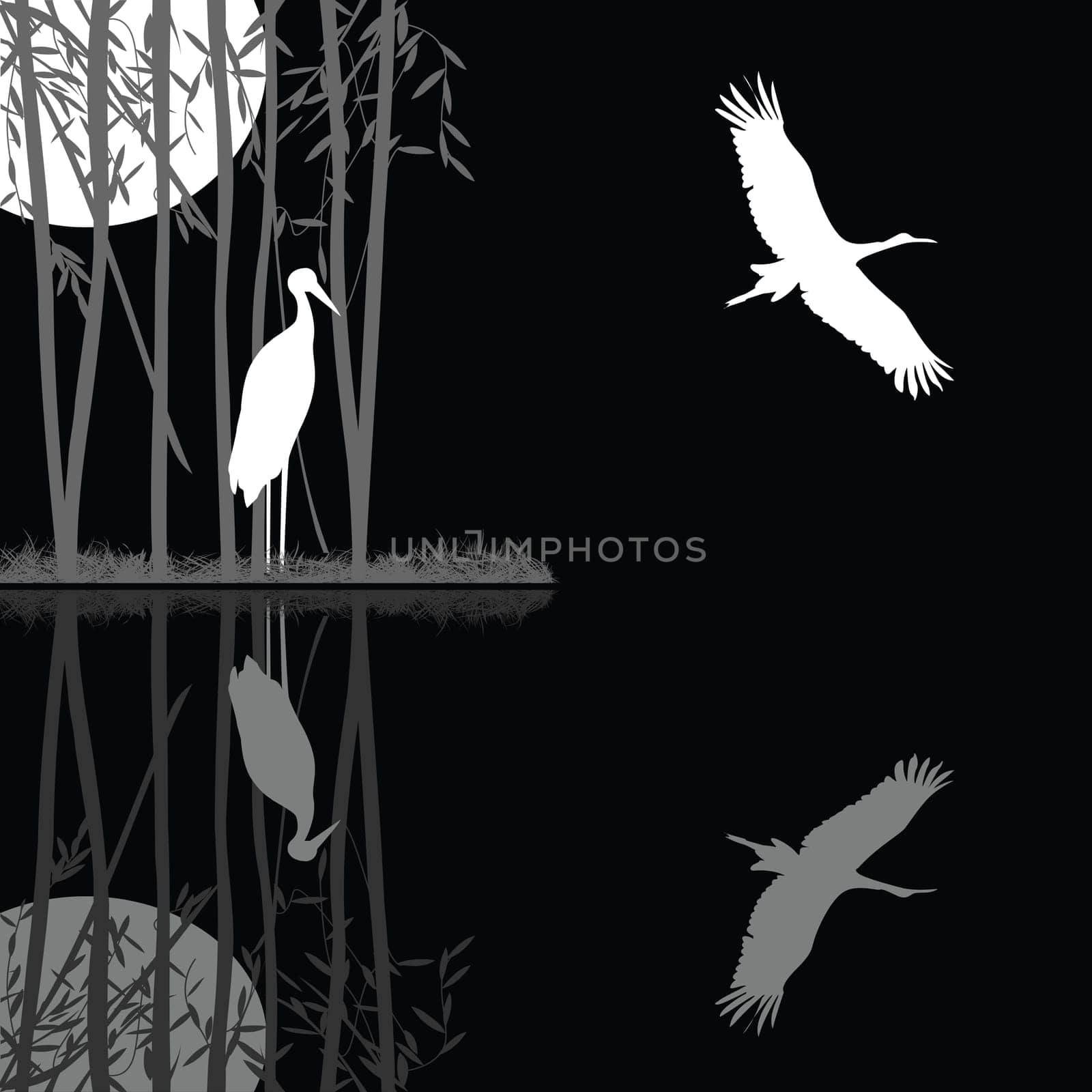 stork family