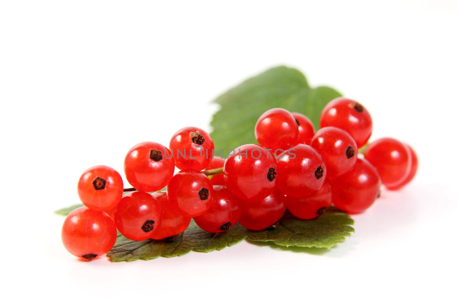 Currants Optional