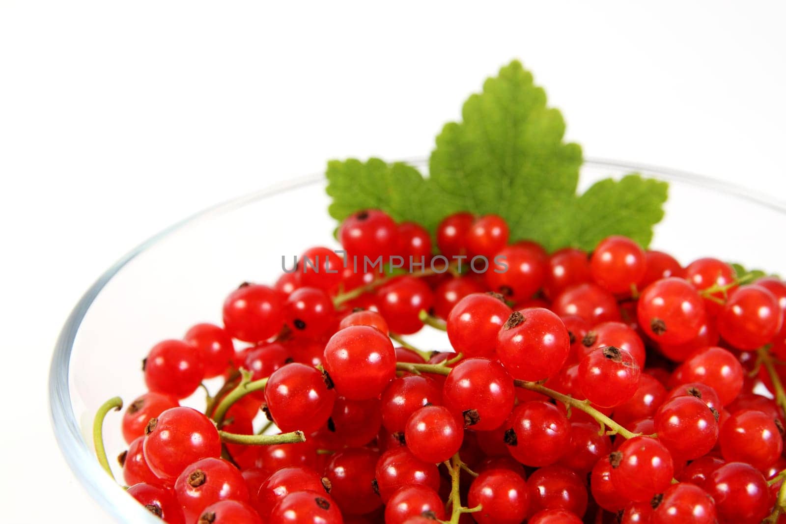 Bowl of currants