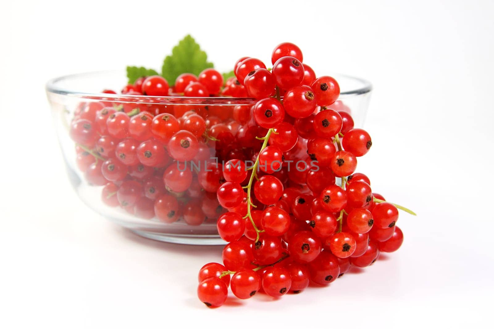 Bowl of currants