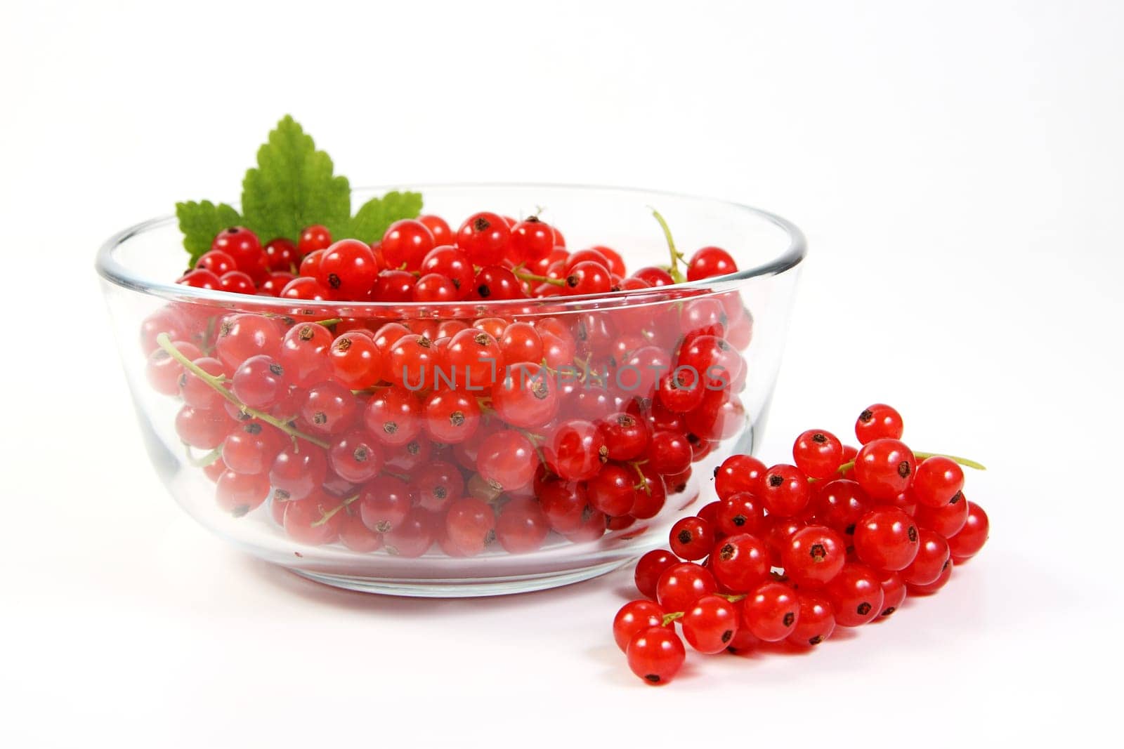 Bowl of currants