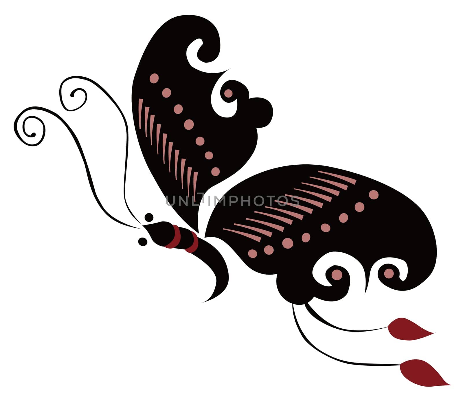 butterfly