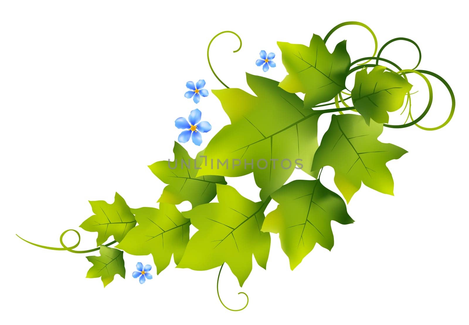 flowers and leaves