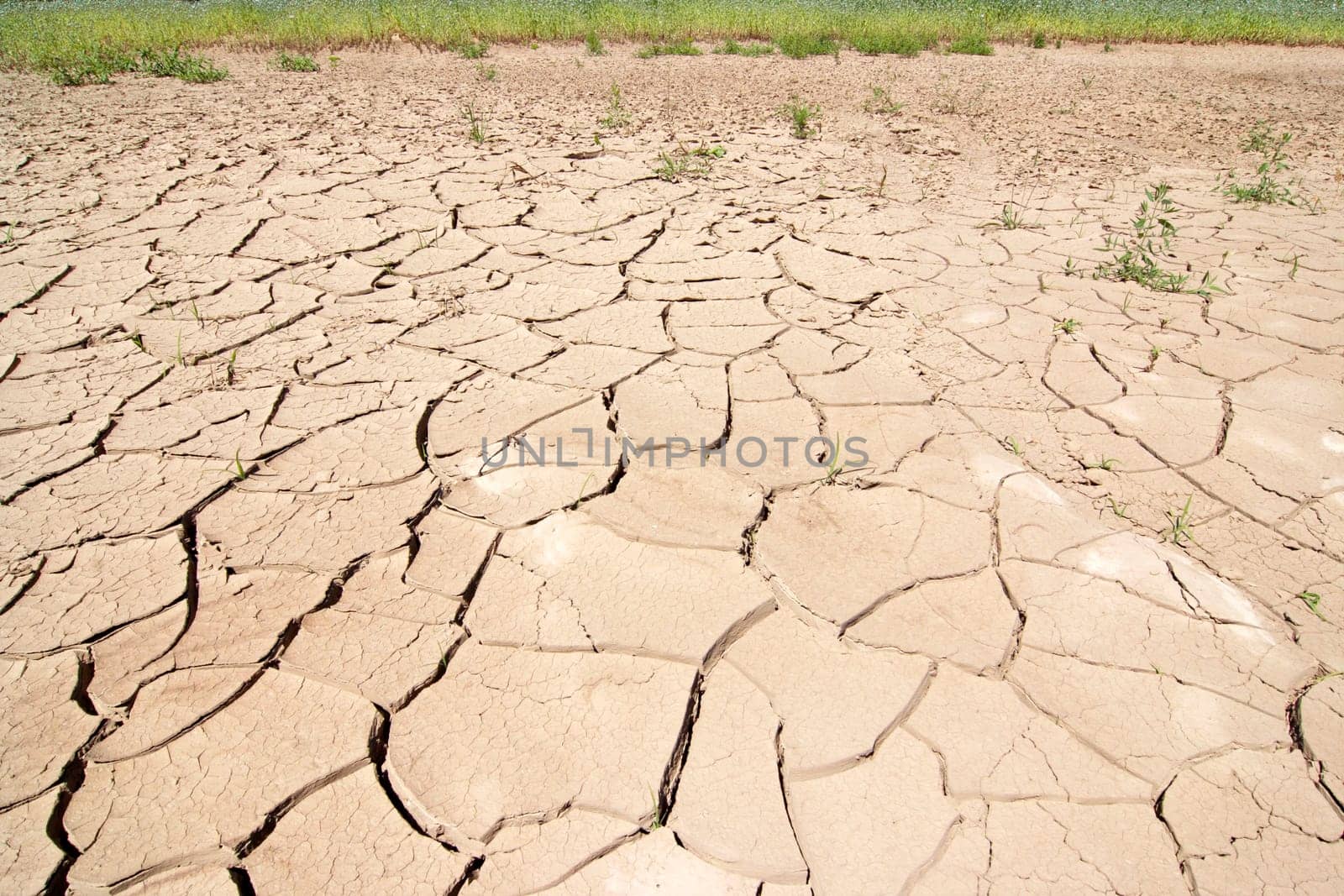dry season - dried ground