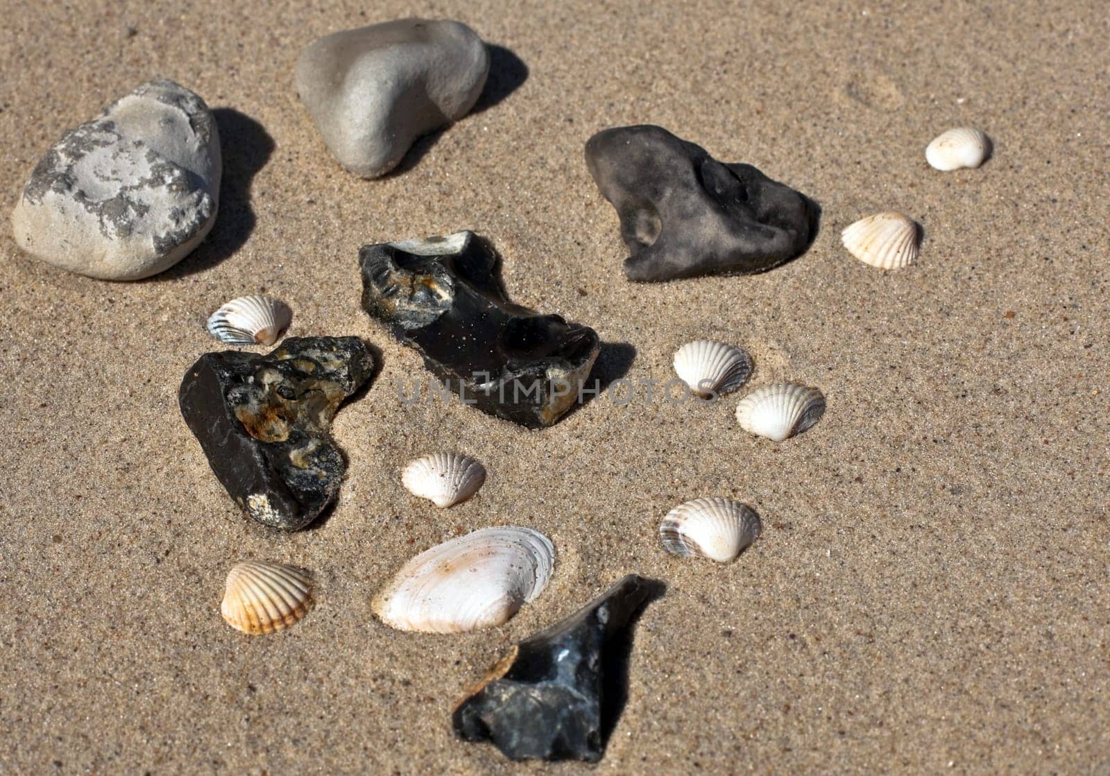 on the beach on the Baltic Sea...