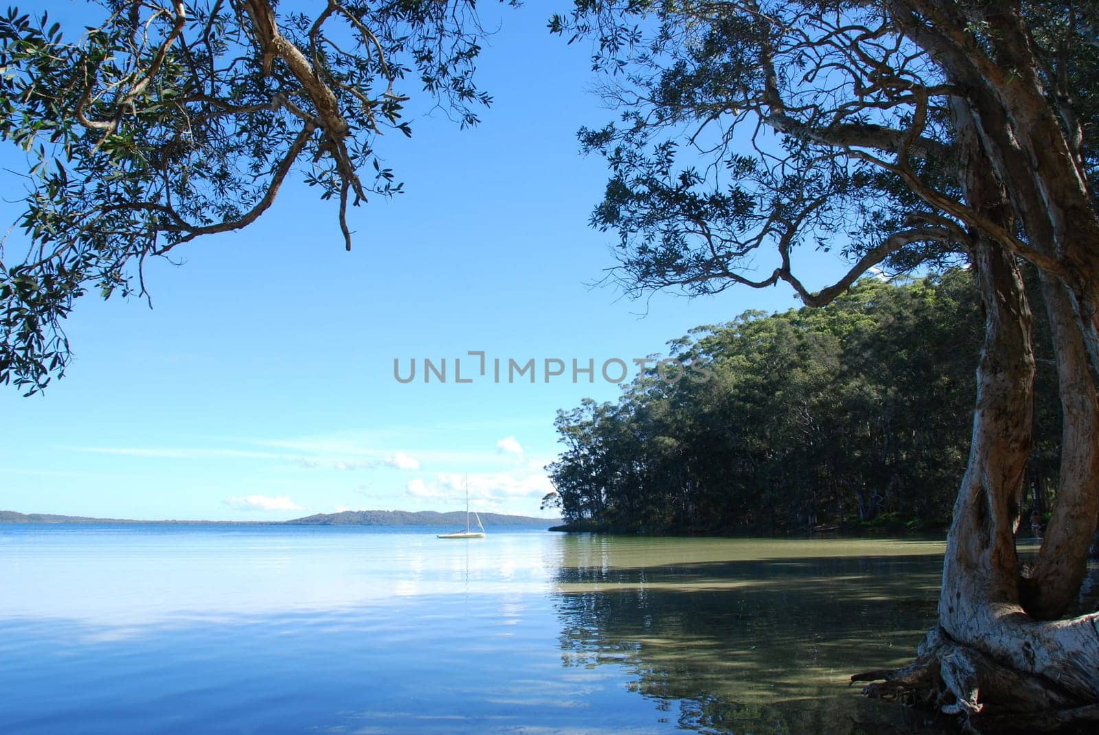 Myall Lake with Sailboat