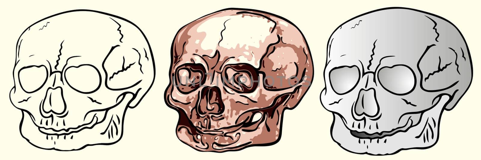 various bizarre human skulls