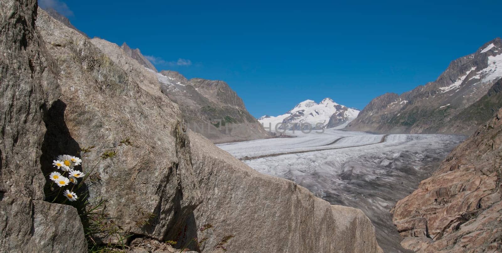 Aletsch Glacier II