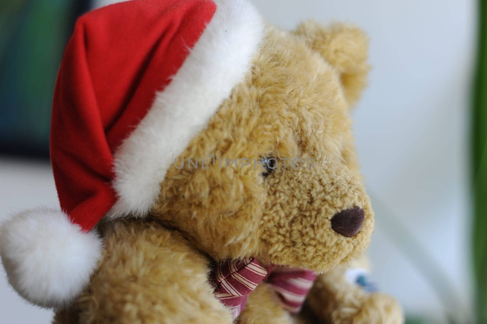 Christmas Bear