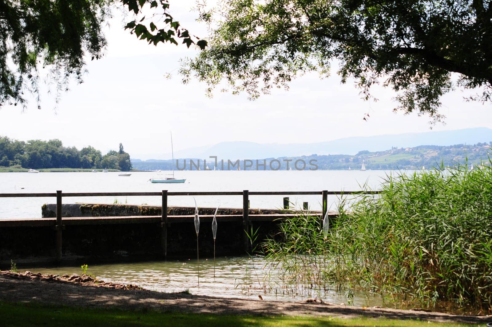 at Lake Murten