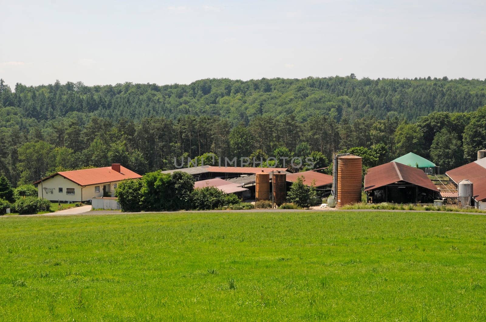 farmstead