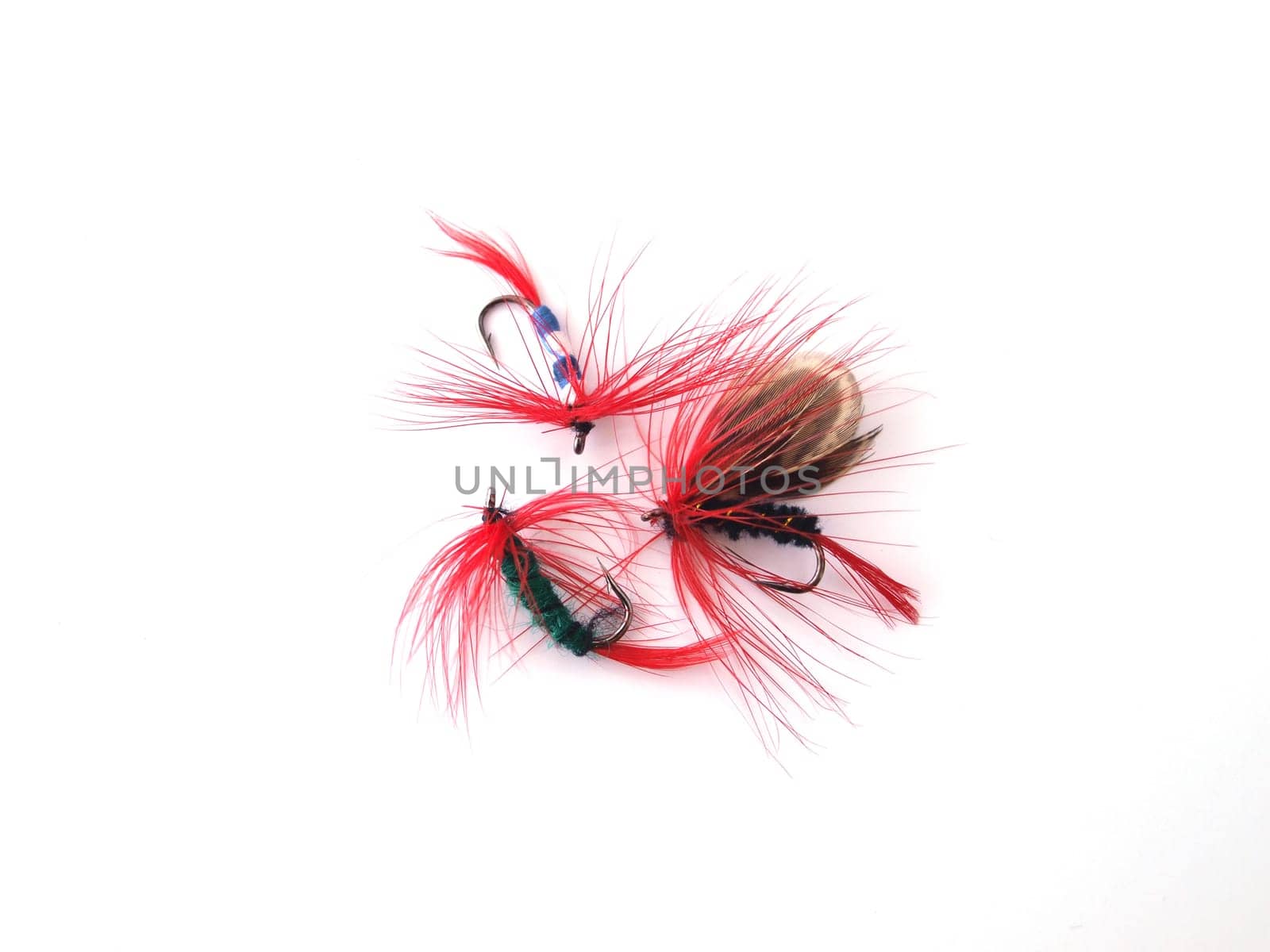 Fly used when fishing for trout.