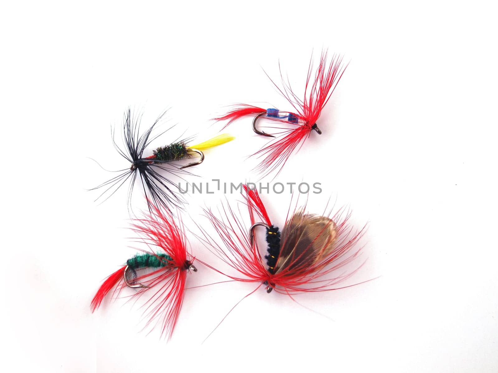 Fly used when fishing for trout.