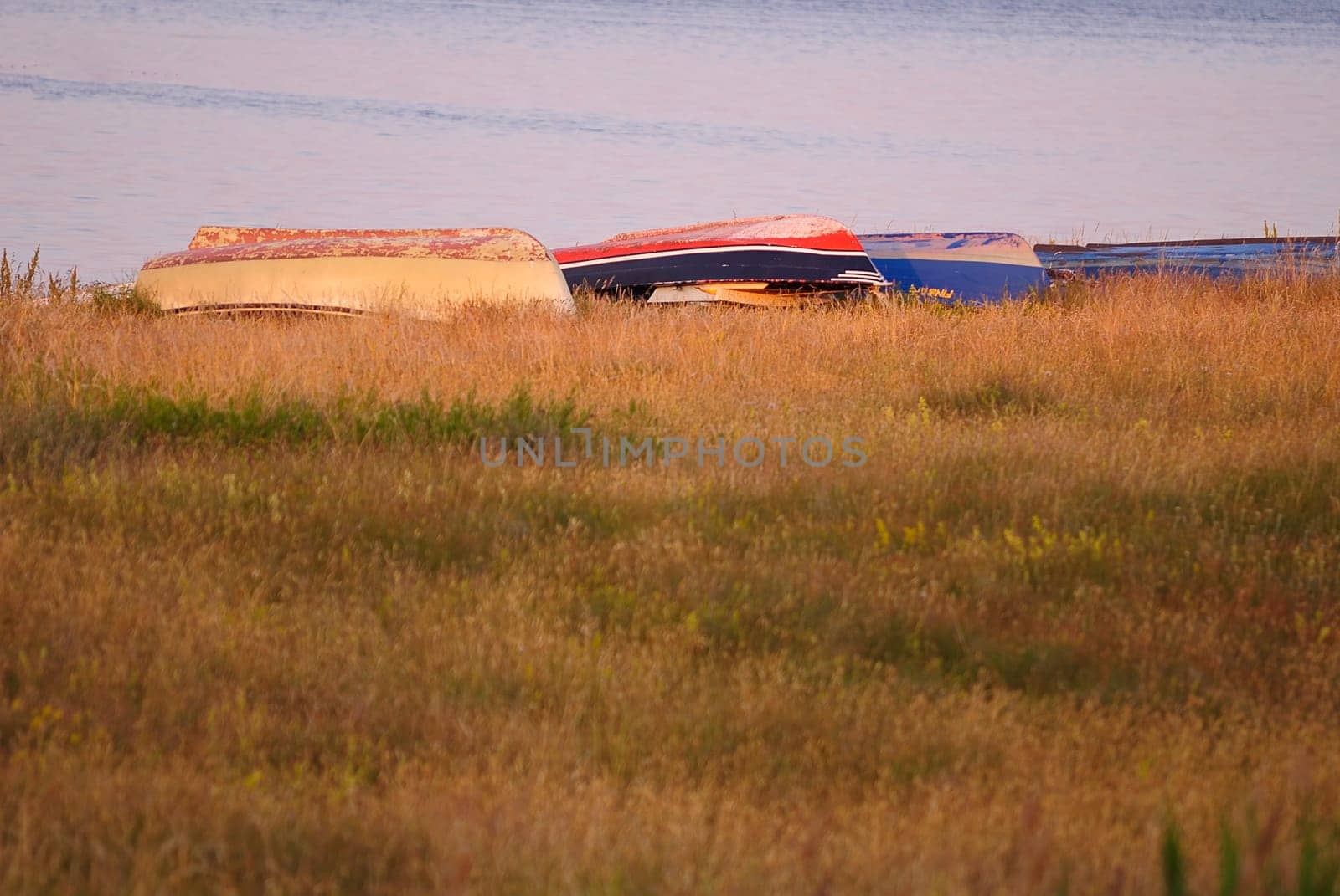 Evening on Hiddensee