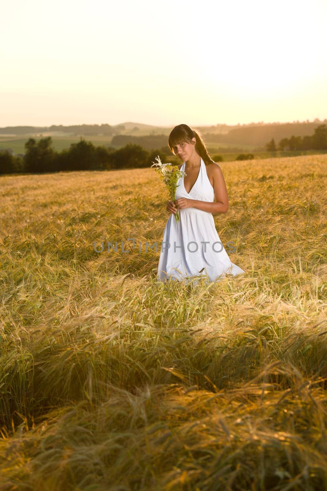 Romantic woman in sunset corn field wear dress