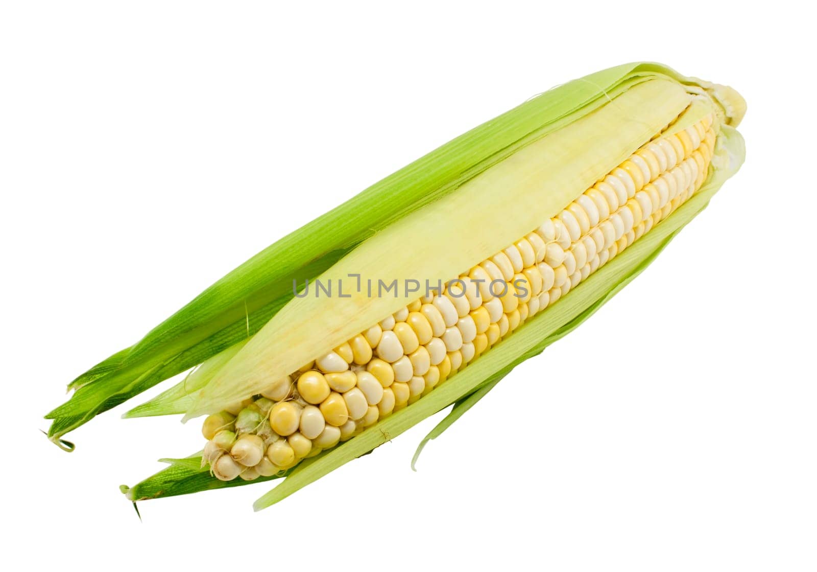 Fresh corn