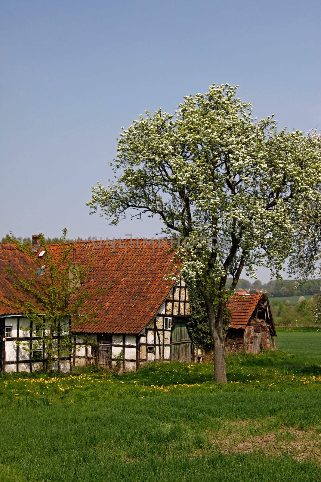 Half-timbered house in spring,Lower Saxony