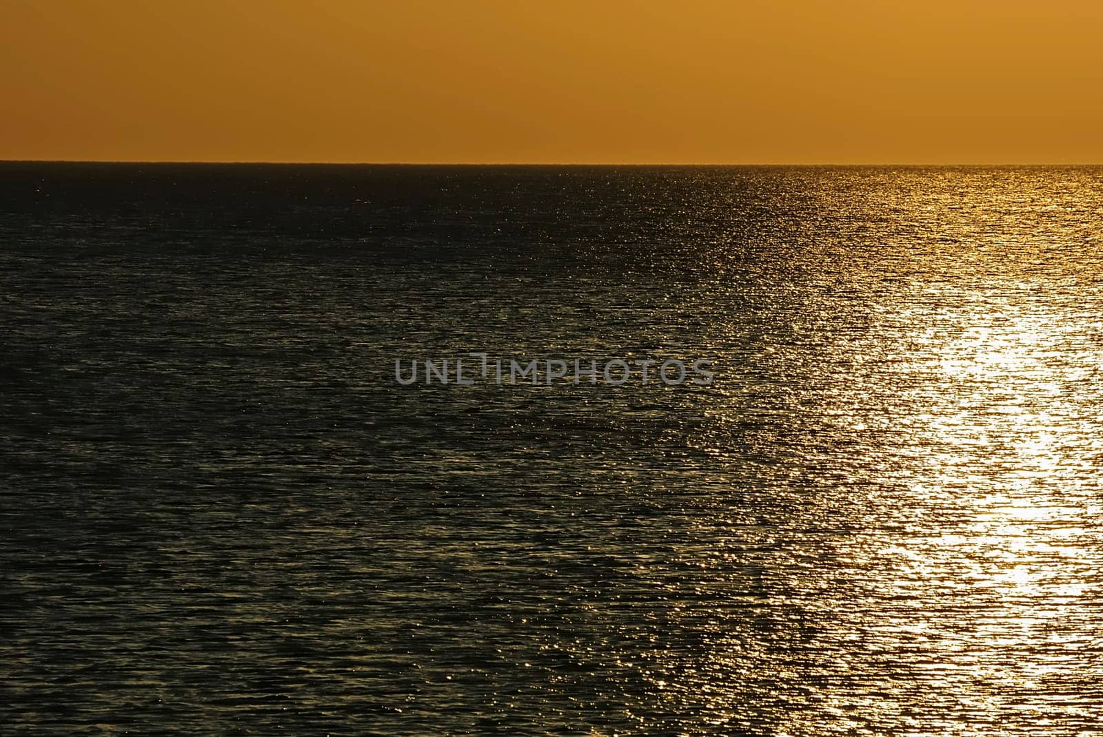 Hiddensee 60