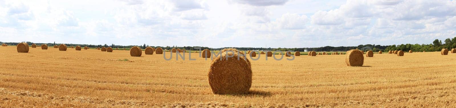 haystack