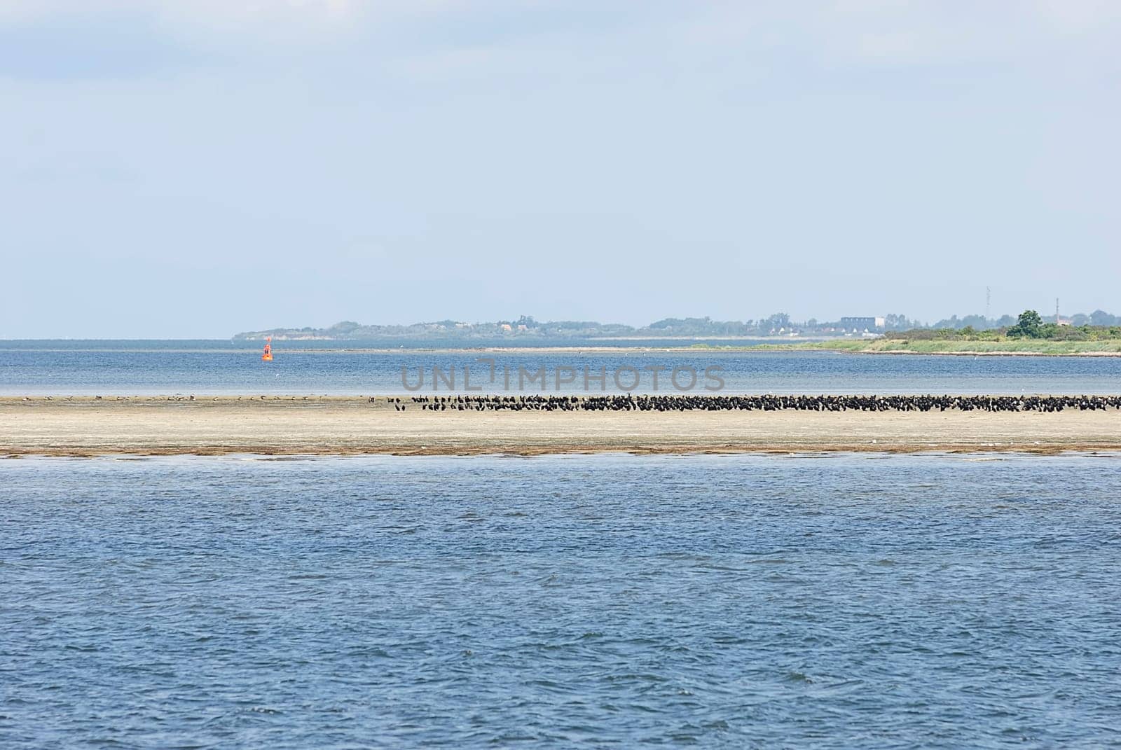 Hiddensee 83