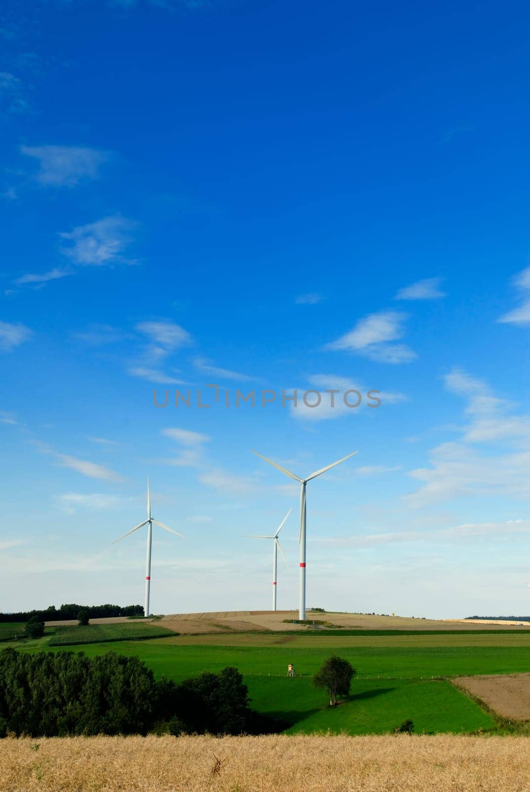 Wind power