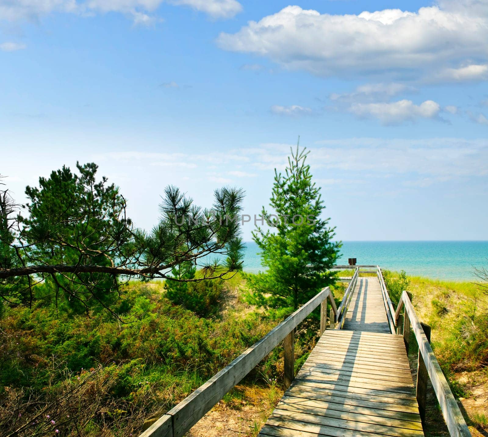 Wooden walkway over dunes at beach
