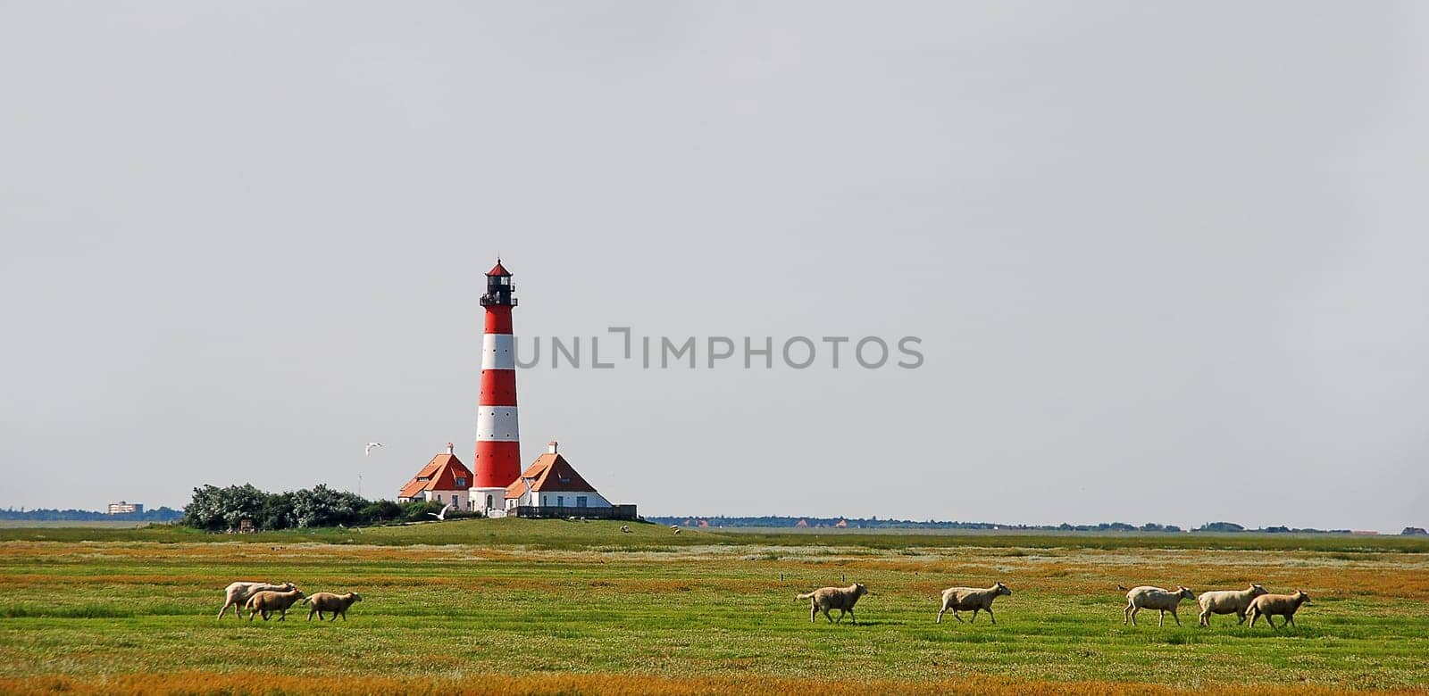 Westerhever