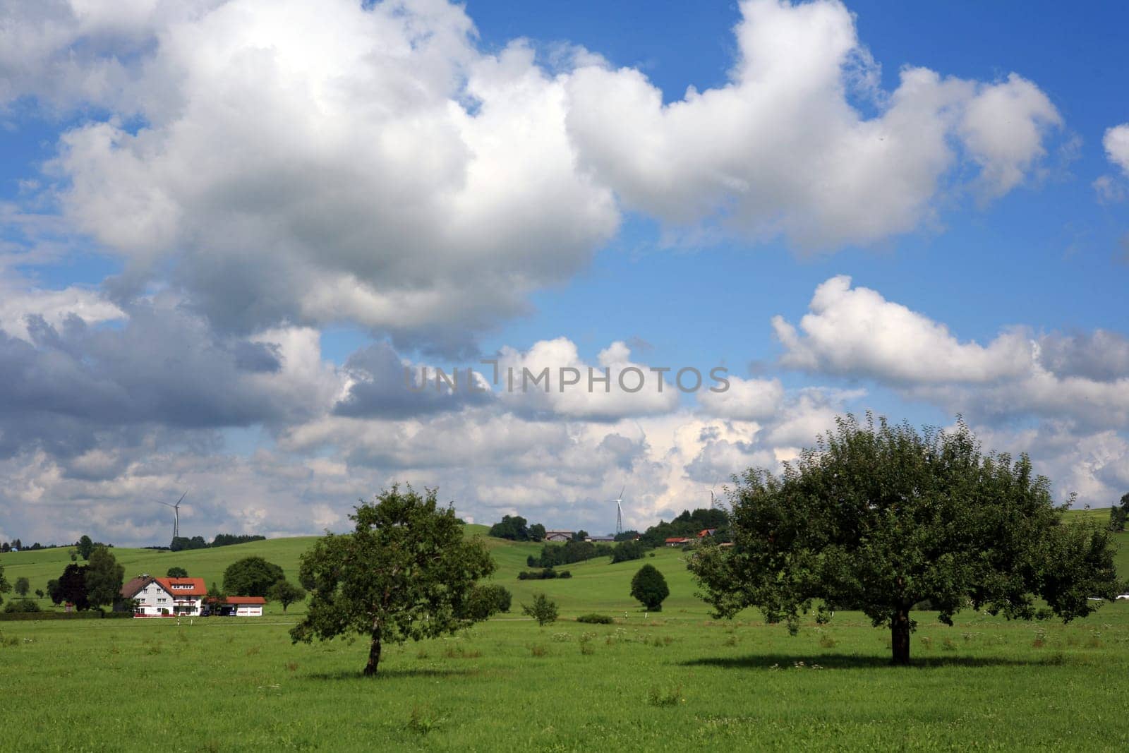 Meadow orchard in Frauenzell Oberallgäu