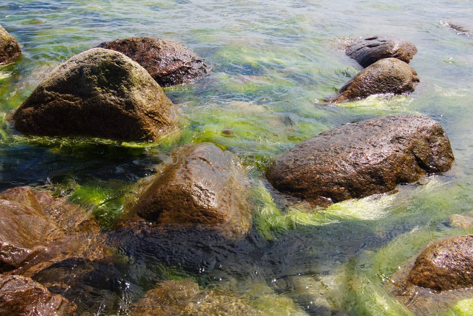 Rocks in the water