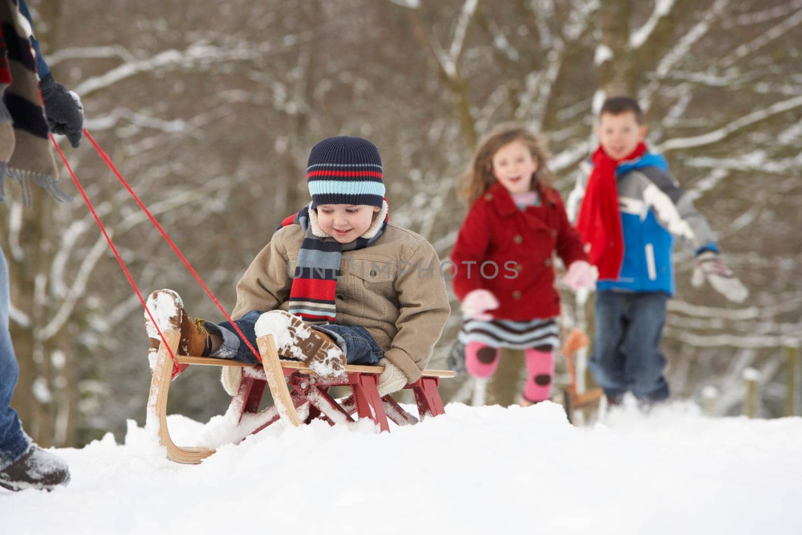 Father Pulling Children On Sledge Through Winter Landscape