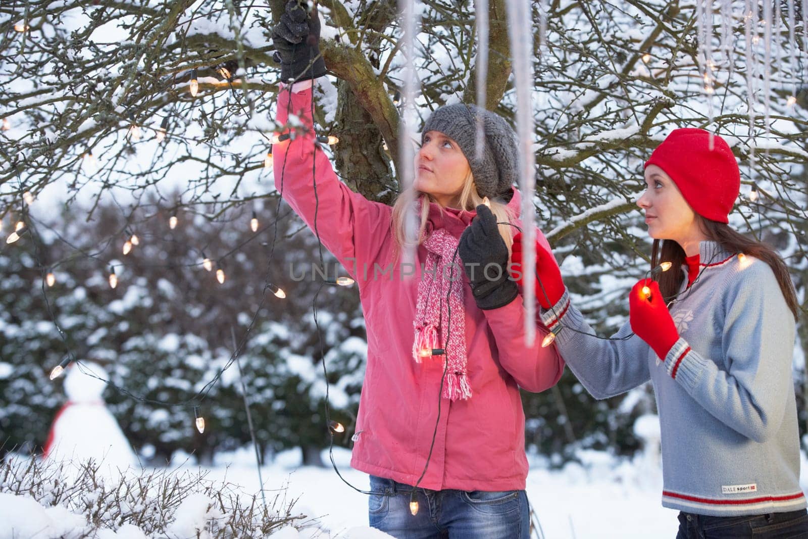 Two Teenage Girls Hanging Fairy Lights In Tree With Icicles In Foreground