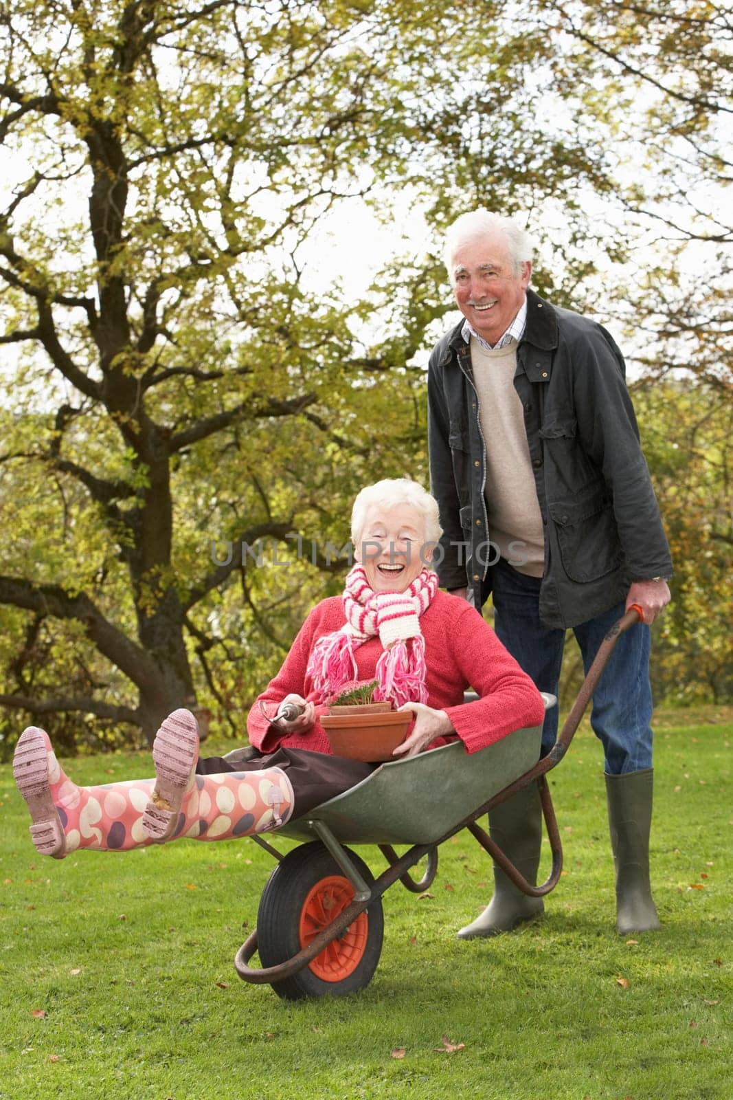 Senior Couple Man Giving Woman Ride In Wheelbarrow