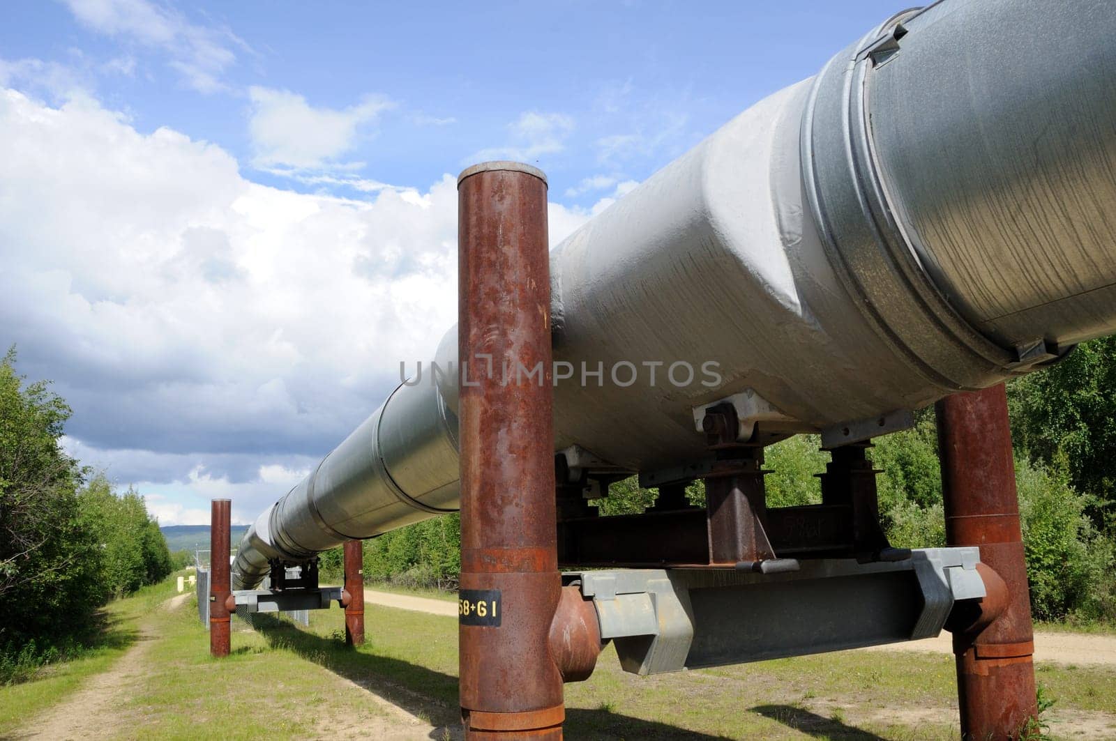 Trans Alaska Oil Pipeline