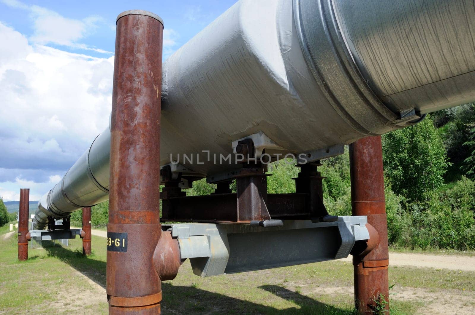 Trans Alaska Oil Pipeline