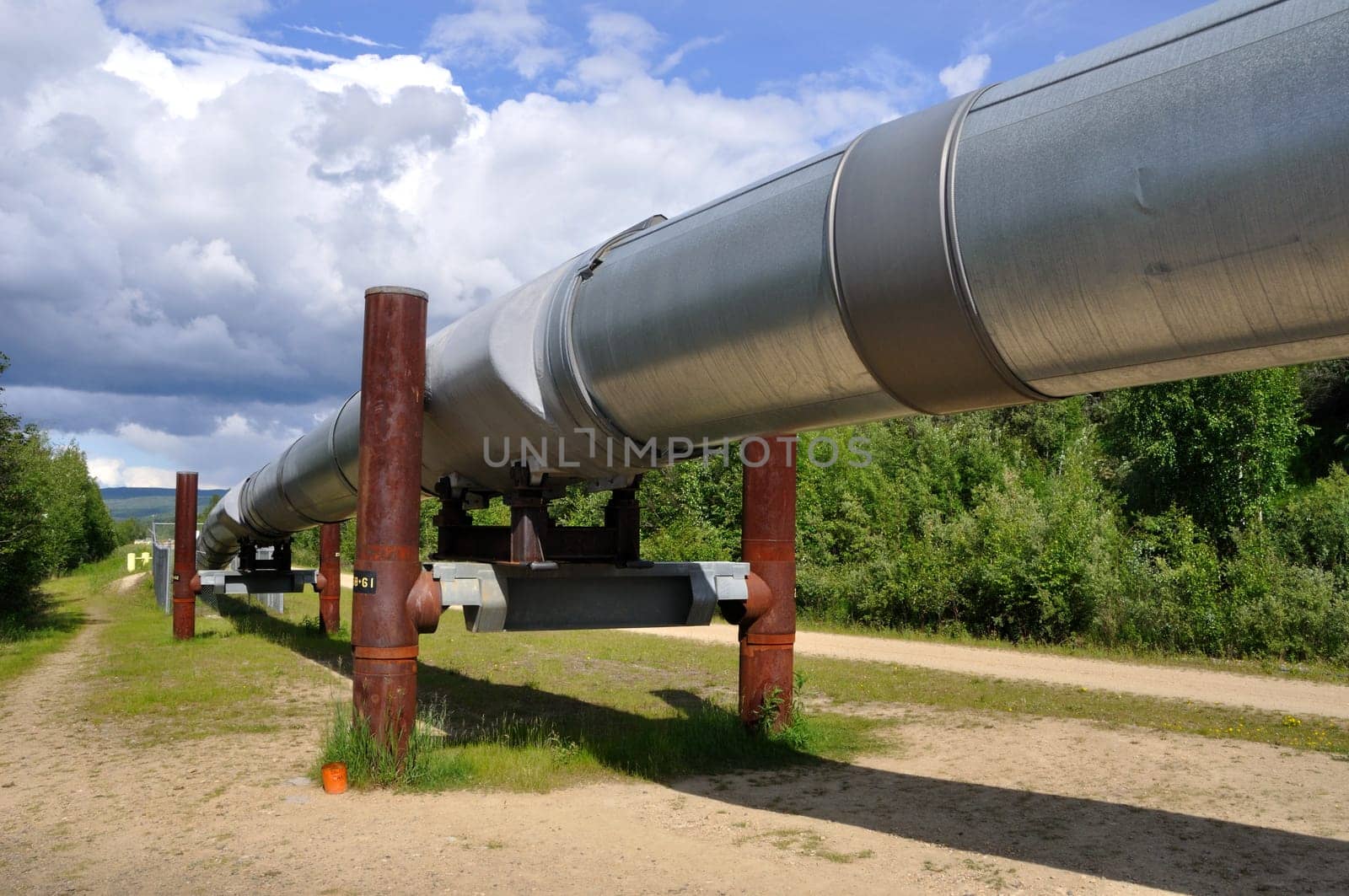 Trans Alaska Oil Pipeline