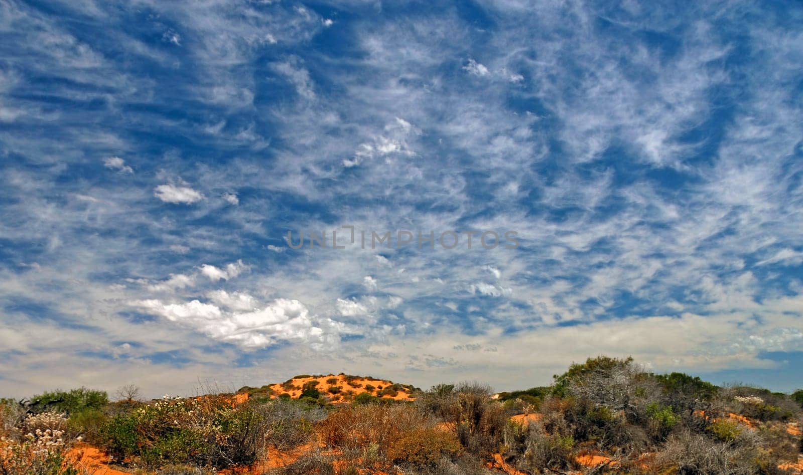 Clouded sky