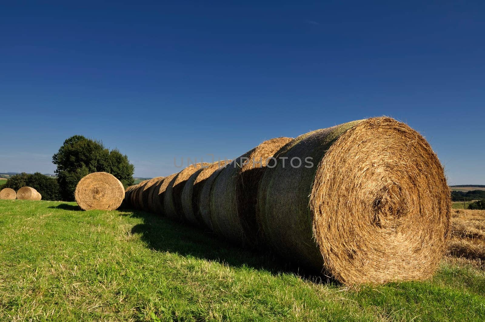 Bale of hay