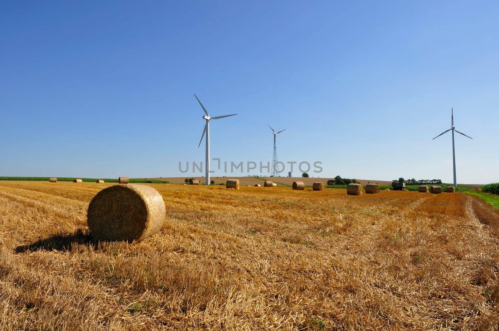 Straw bales